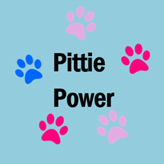 Team Page: Pittie Power